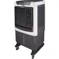 pH Air Cooler 90L Digital AC90DG