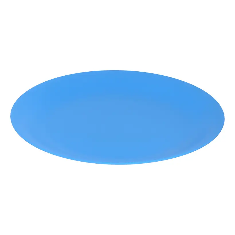 Flat plate 26lifestyle blue062